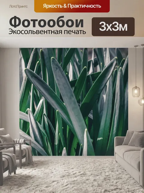 Фотообои Темно-зеленый
