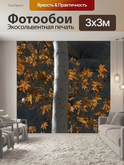 Фотообои Красочный