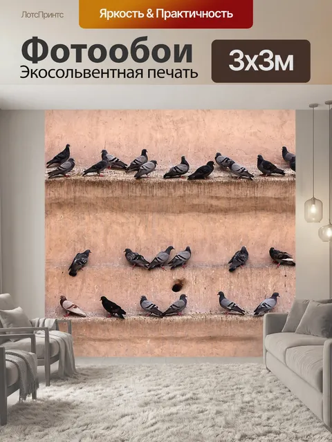 Фотообои Голуби