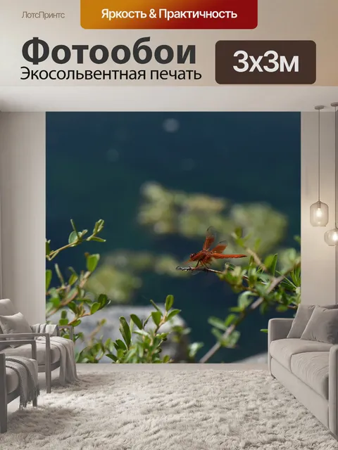 Фотообои Оранжевая стрекоза