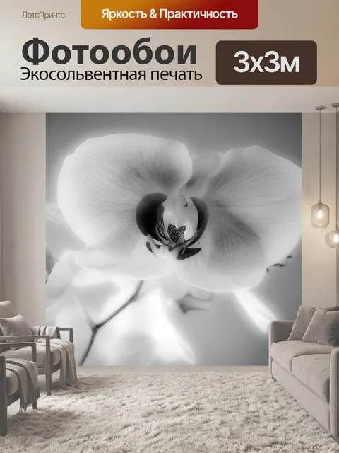 Фотообои Орхидея