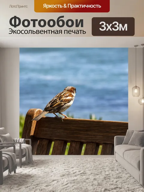 Фотообои Воробей
