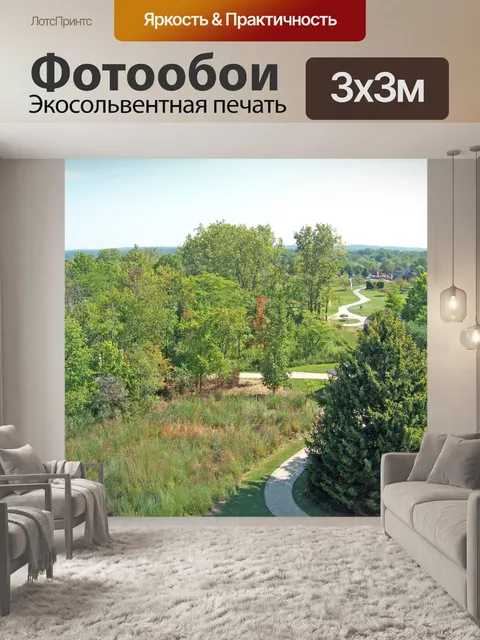 Фотообои Деревьев в парке