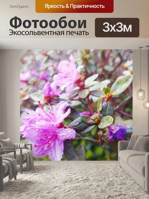 Фотообои Цветы