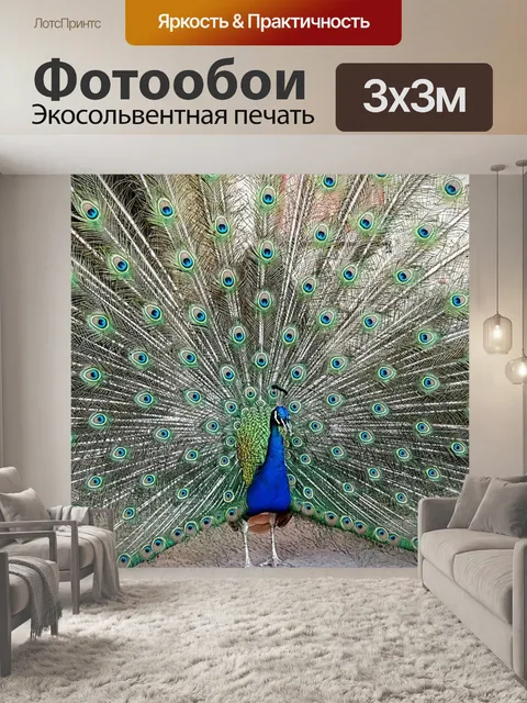 Фотообои Павлин