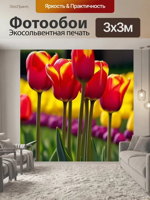 Фотообои яркие тюльпаны в солнечном свете