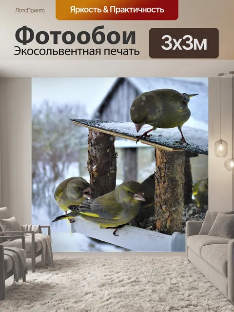 Фотообои Птицы