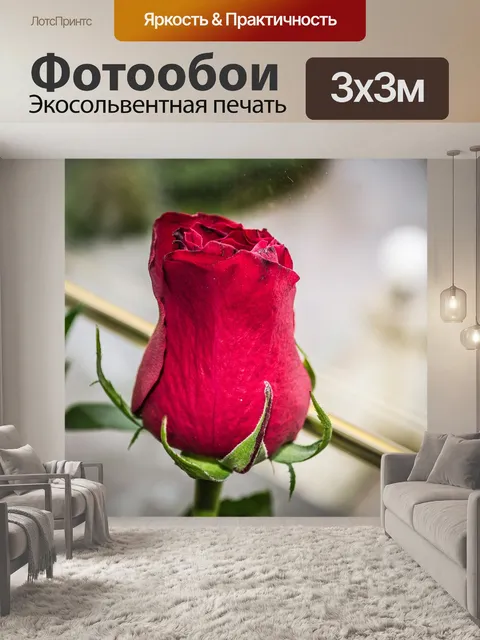 Фотообои Цвести