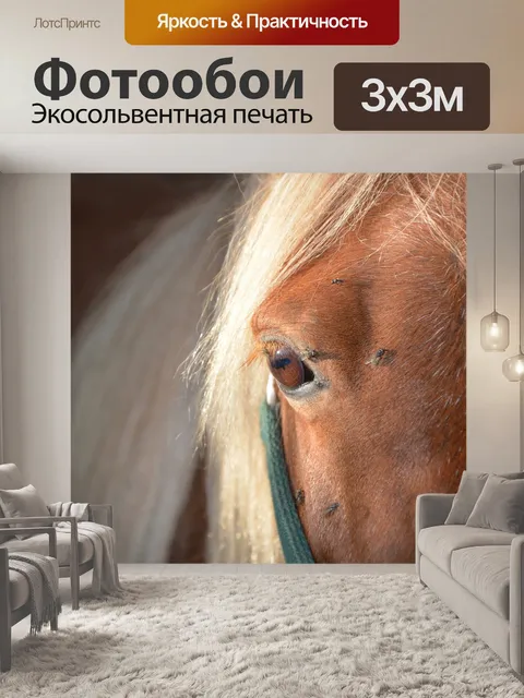 Фотообои Лошадь