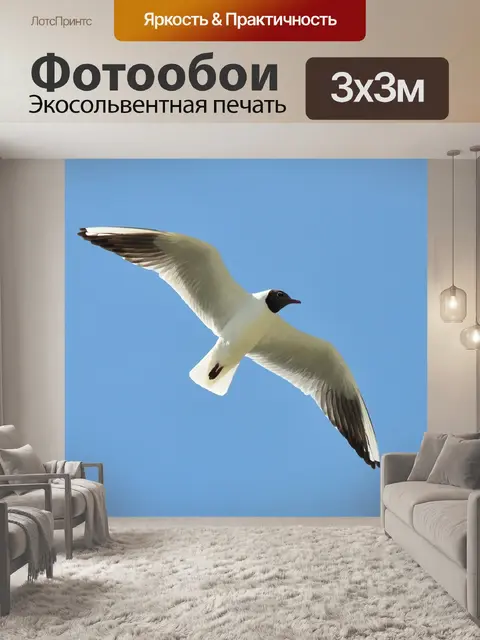 Фотообои Птицы