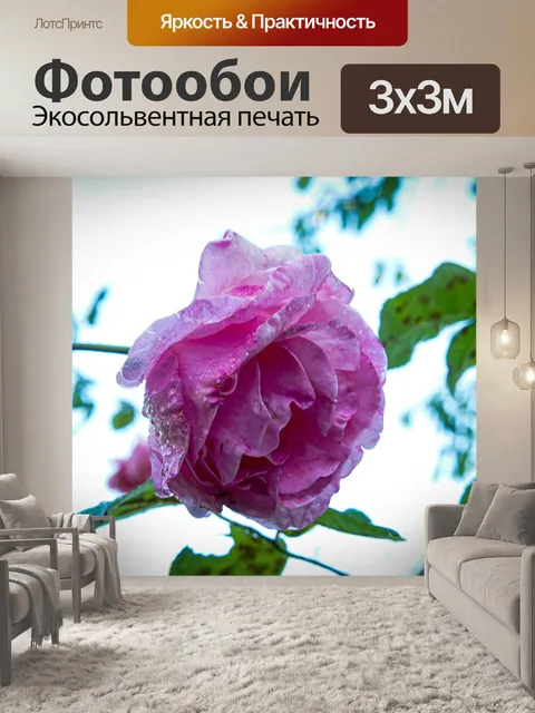 Фотообои Розы