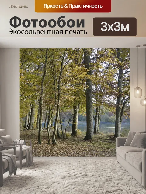 Фотообои Подлесок