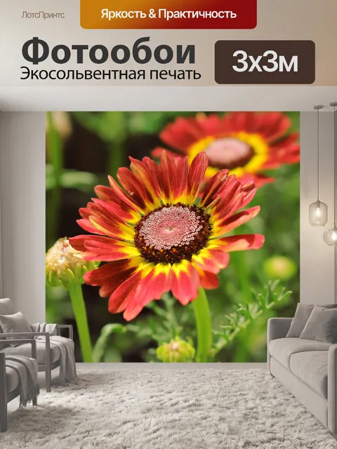Фотообои Цветы