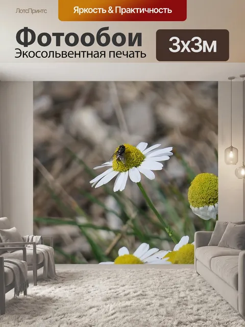 Фотообои Летать