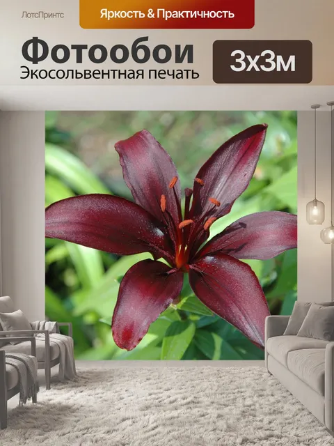 Фотообои Цветы