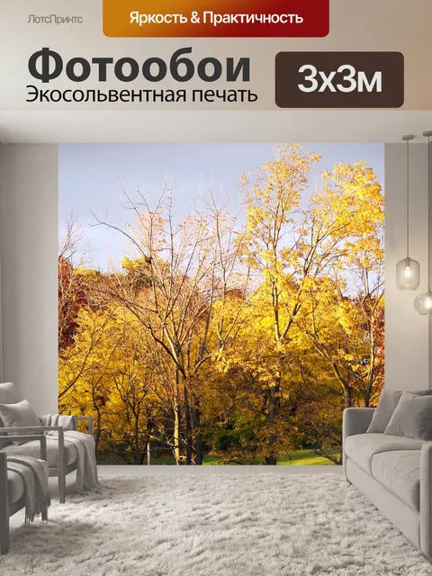 Фотообои Осенние деревья