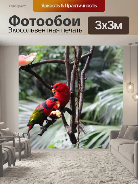 Фотообои Природа