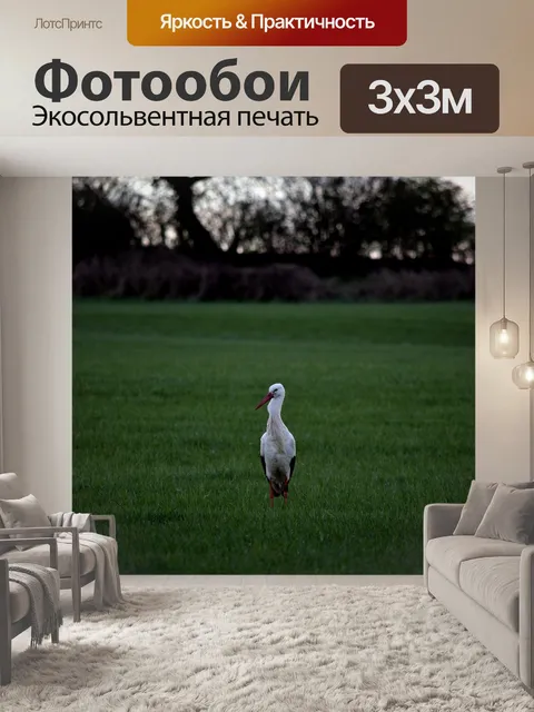 Фотообои Аист