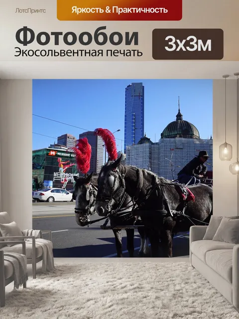 Фотообои Лошади и карете