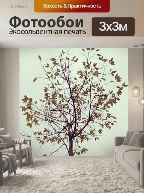 Фотообои Лист