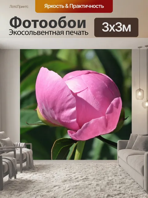 Фотообои Природа