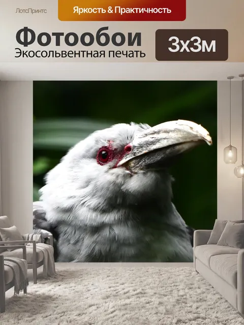 Фотообои Птица