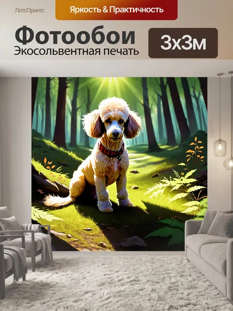 Фотообои пудель, внимательно изучающий окружающие его загадочные тени в лесу, где солнечные лучи пробиваются сквозь…