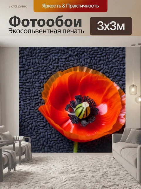 Фотообои с маком минимал