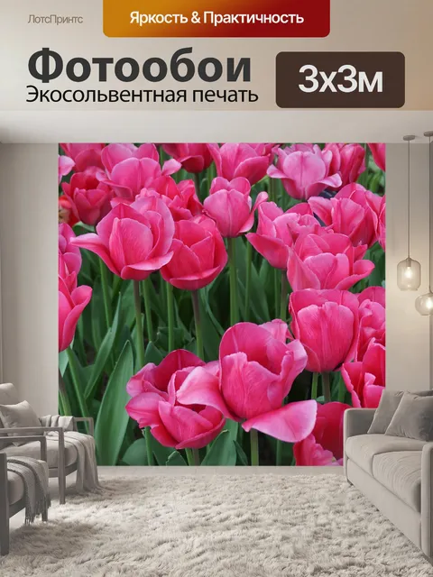 Фотообои тюльпаны