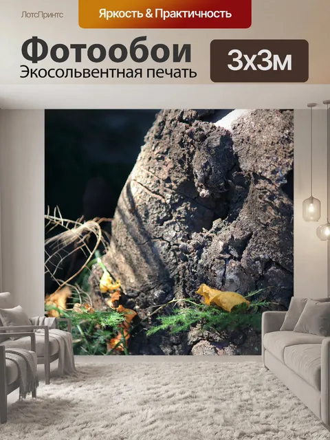 Фотообои грубая текстура на коре дерева