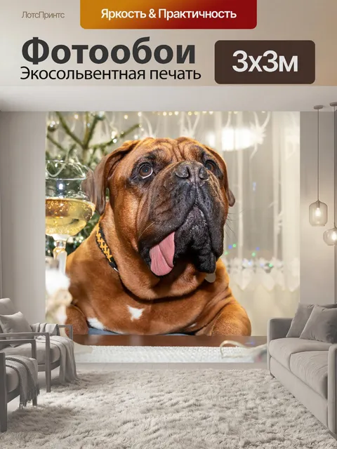 Фотообои Животное