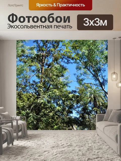 Фотообои Деревья и листья 21