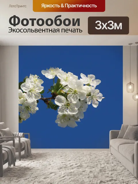 Фотообои Цвести