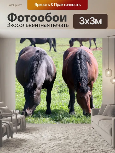 Фотообои Лошади