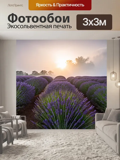 Фотообои поле лаванды, утопающее в утреннем тумане, с восходящим солнцем, пробивающимся сквозь облака