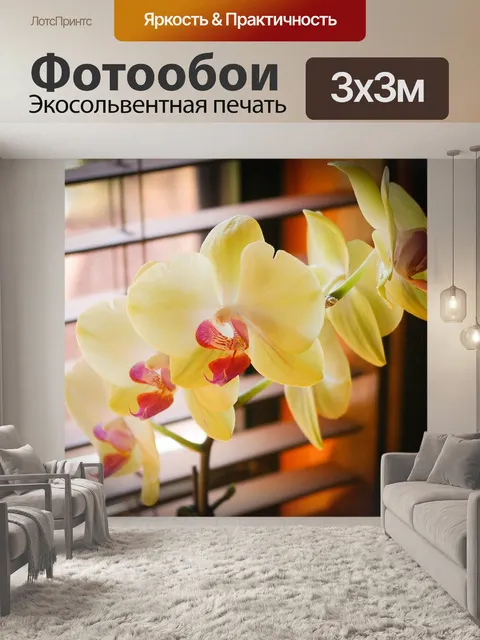 Фотообои Орхидеи