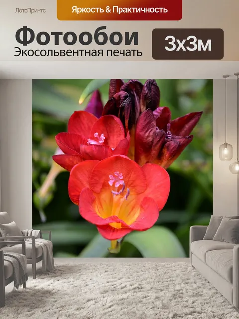 Фотообои Цветы