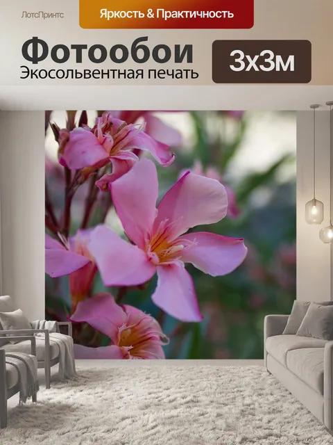 Фотообои Цветы