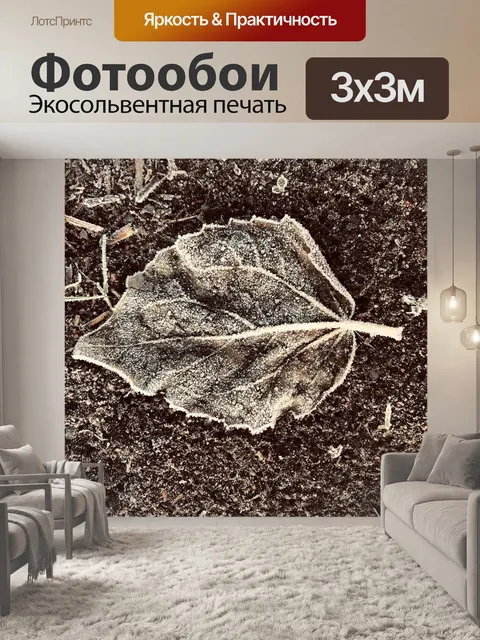 Фотообои Иней