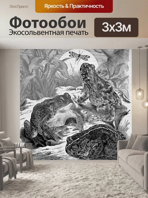 Фотообои Жабы