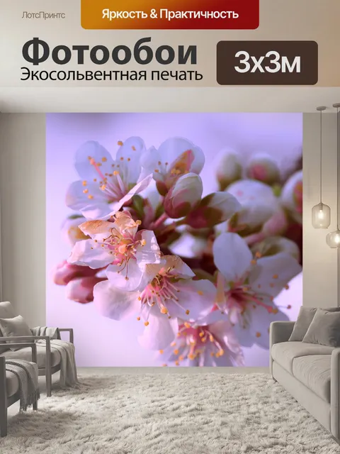 Фотообои Яблоневый цвет