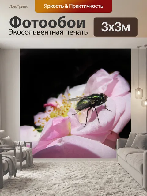 Фотообои Летать