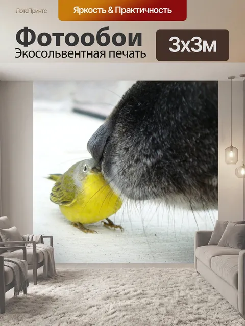 Фотообои Сталкиваться