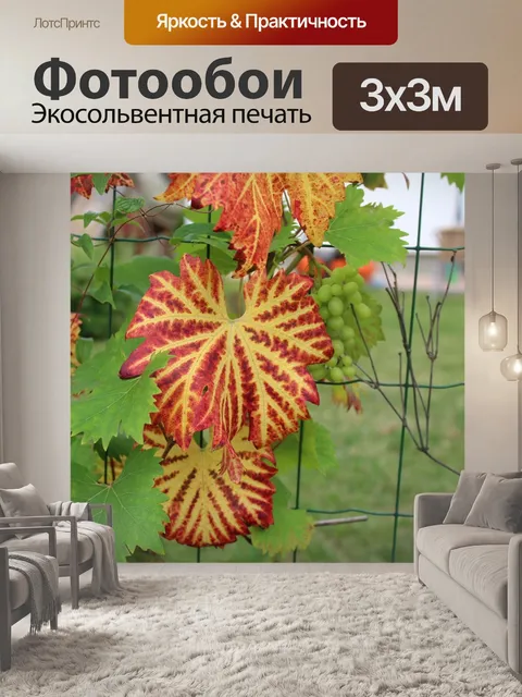 Фотообои Листья