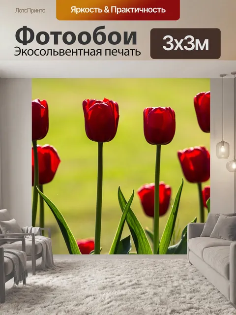 Фотообои Тюльпаны