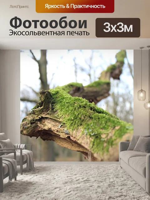 Фотообои Лес