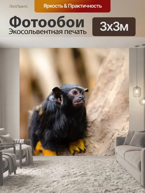 Фотообои Животное