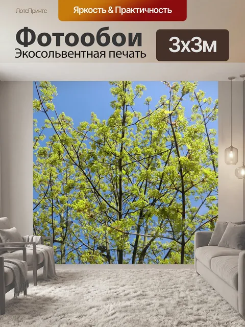 Фотообои Весна