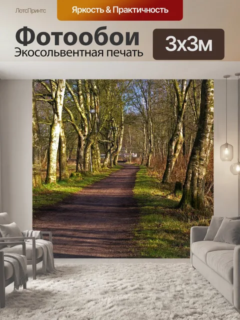 Фотообои Лес