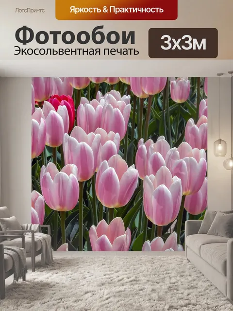 Фотообои Тюльпаны